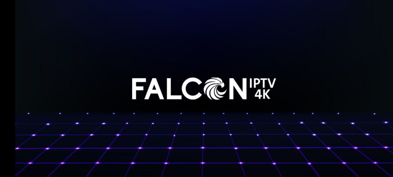 اشتراك سيرفر فالكون برو FALCON PRO لمدة 12 شهر - الصورة 9